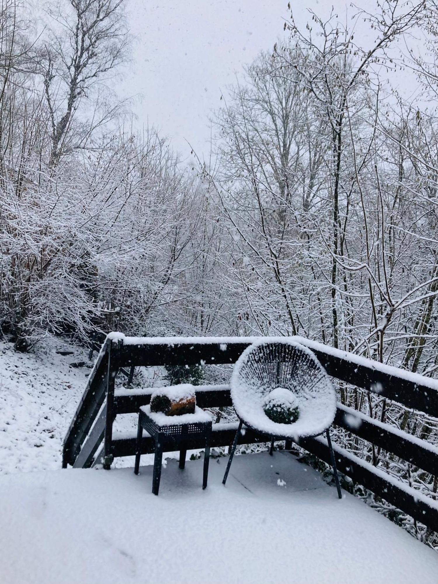 Hastiere-par-dela Woody Lodge - Duplex Nature Bonsoy Ardennes מראה חיצוני תמונה